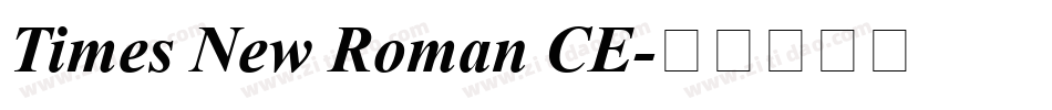 Times New Roman CE字体转换